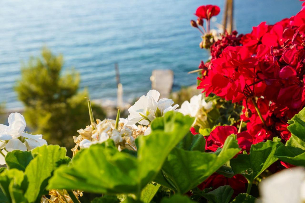 Villa Mandraki ไฮดรา ภายนอก รูปภาพ